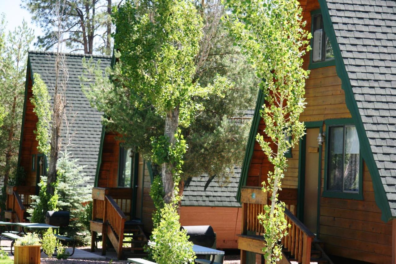 מלון Pine Cabins On Strawberry Hill מראה חיצוני תמונה