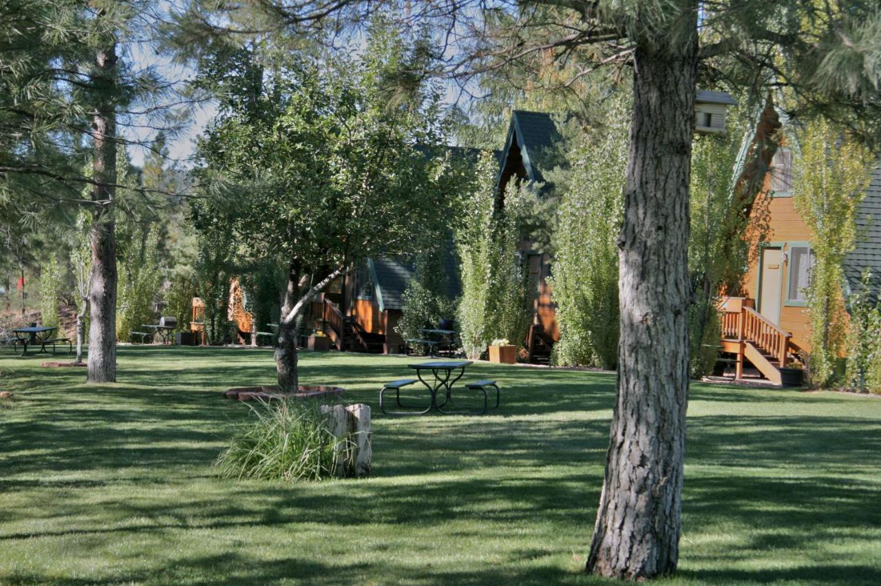 מלון Pine Cabins On Strawberry Hill מראה חיצוני תמונה