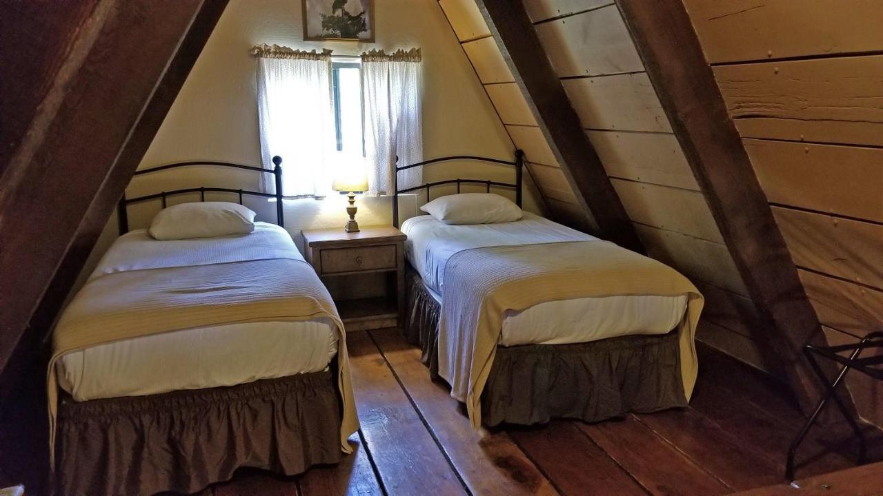 מלון Pine Cabins On Strawberry Hill מראה חיצוני תמונה